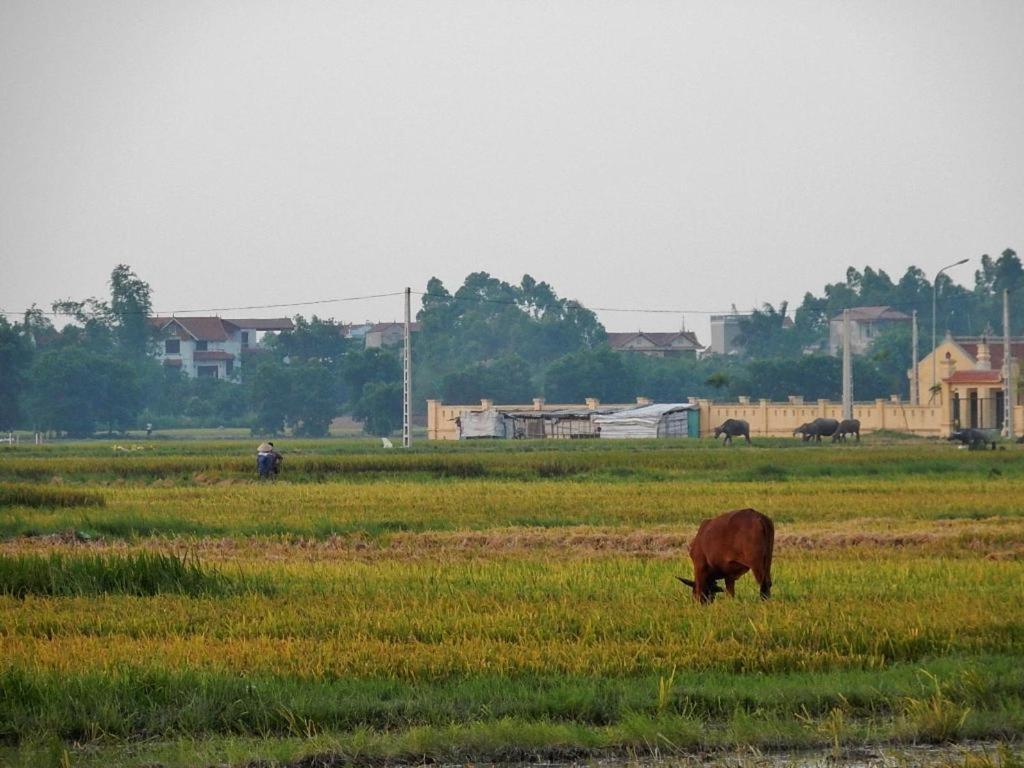 Viet Village Hotel Ханой Екстериор снимка